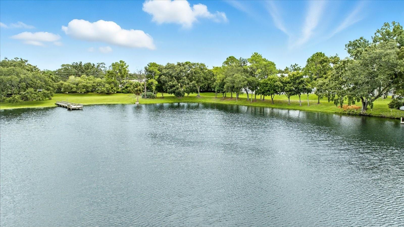 2840 VALENCIA LN W, PALM HARBOR, FL, 34684
