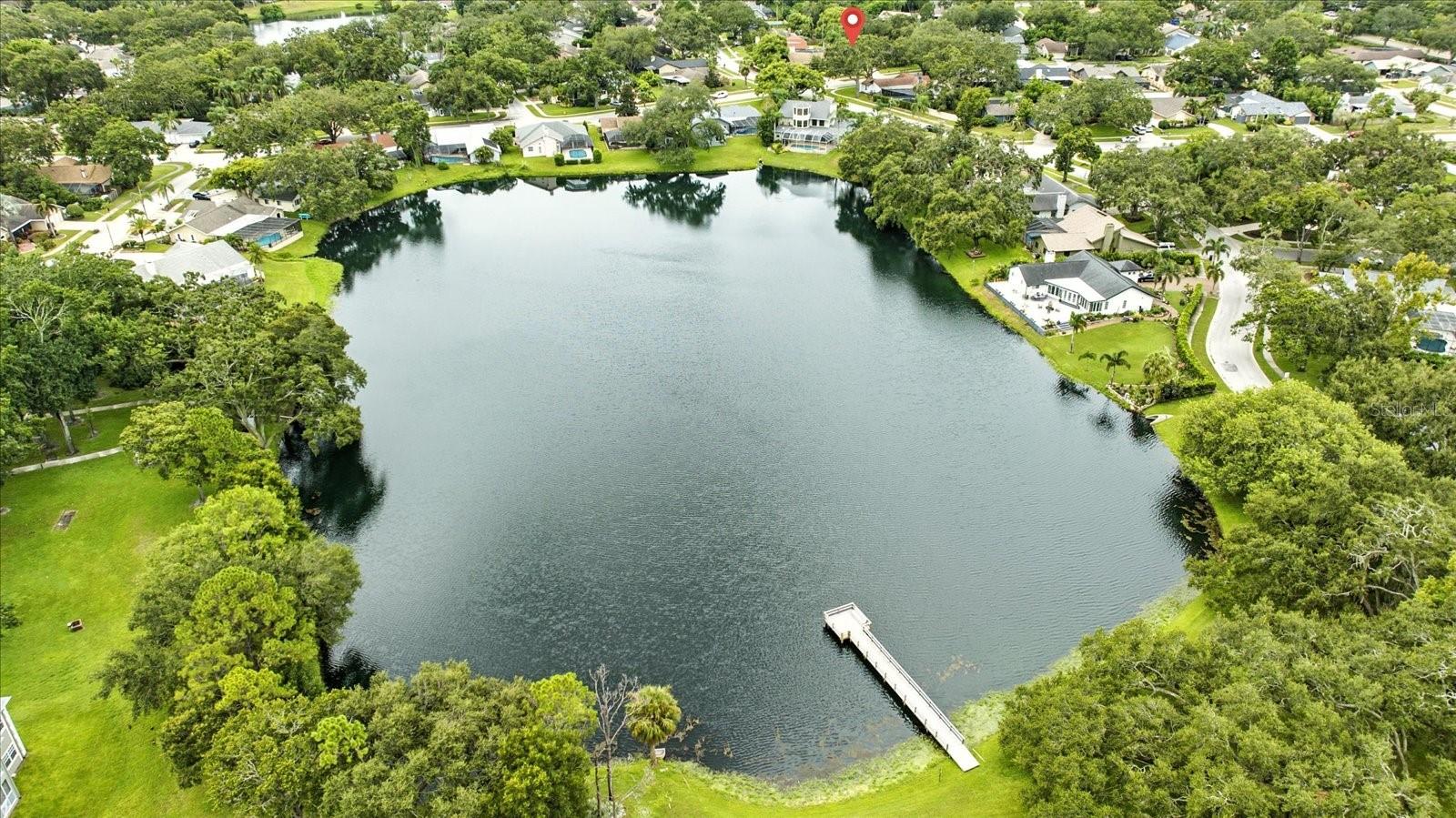 2840 VALENCIA LN W, PALM HARBOR, FL, 34684