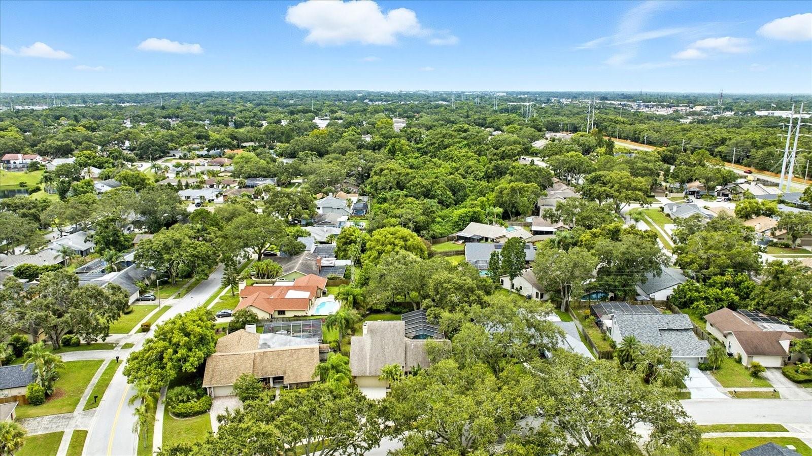 2840 VALENCIA LN W, PALM HARBOR, FL, 34684