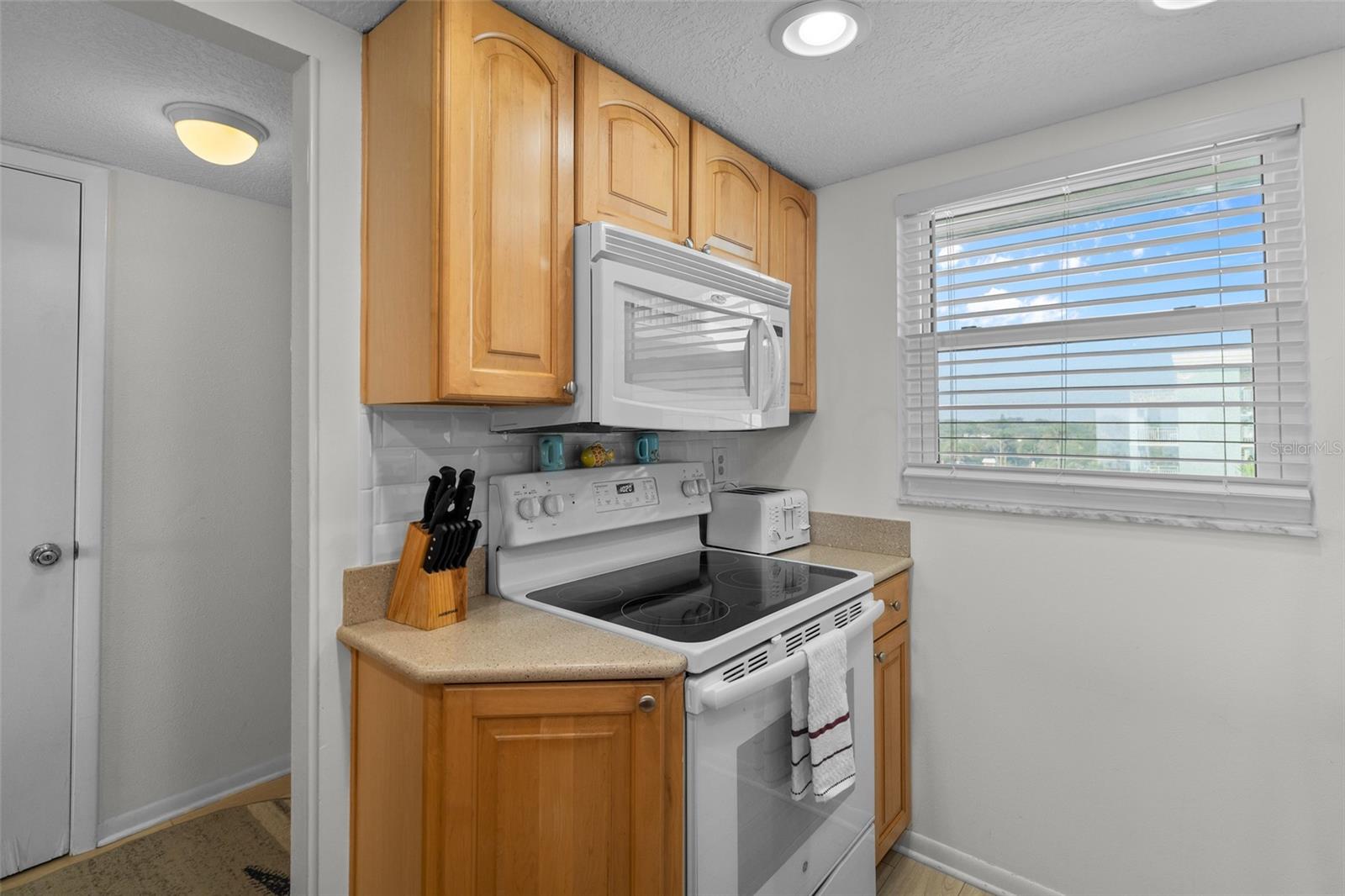 4153 S ATLANTIC AVE #404, NEW SMYRNA BEACH, FL, 32169