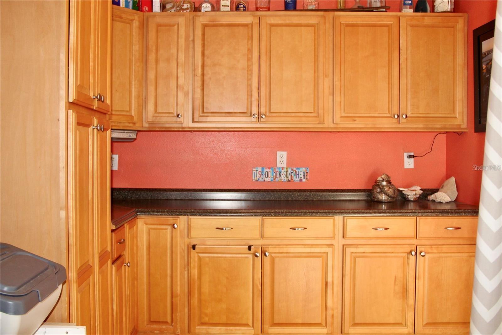 315 SAN JOSE DR, DUNEDIN, FL, 34698