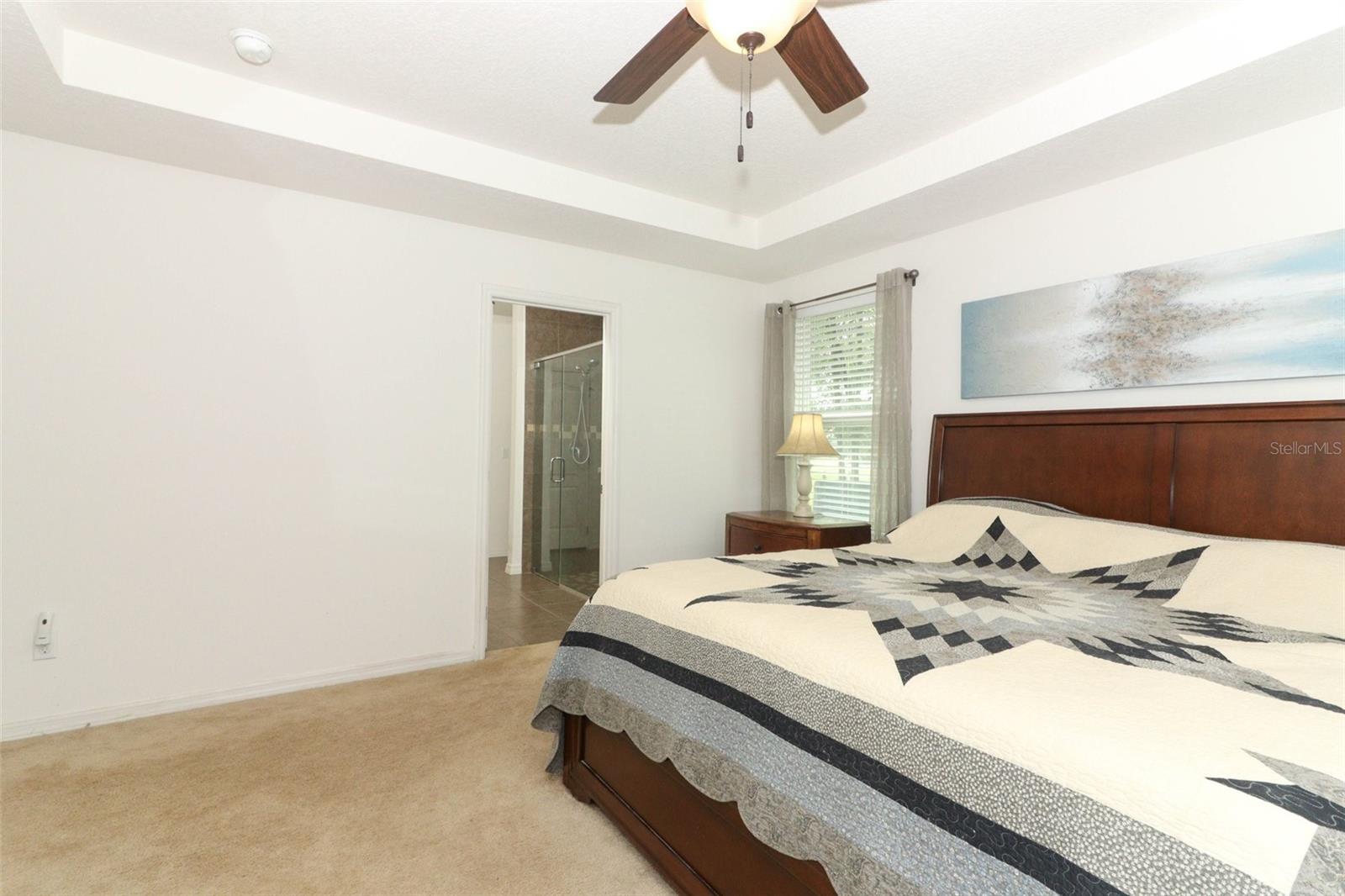 30413 PLYMOUTH CREEK CIR, SORRENTO, FL, 32776