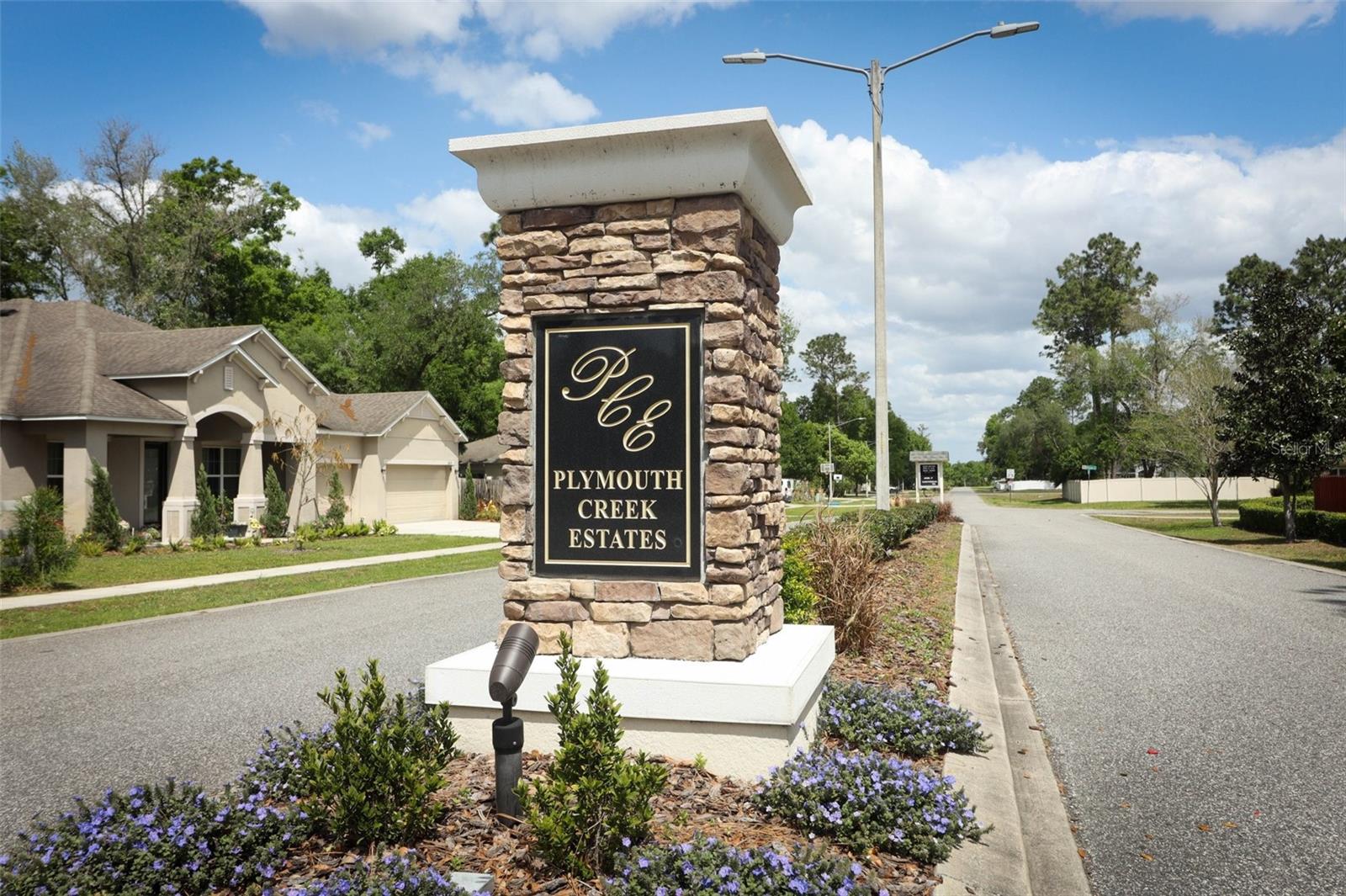 30413 PLYMOUTH CREEK CIR, SORRENTO, FL, 32776