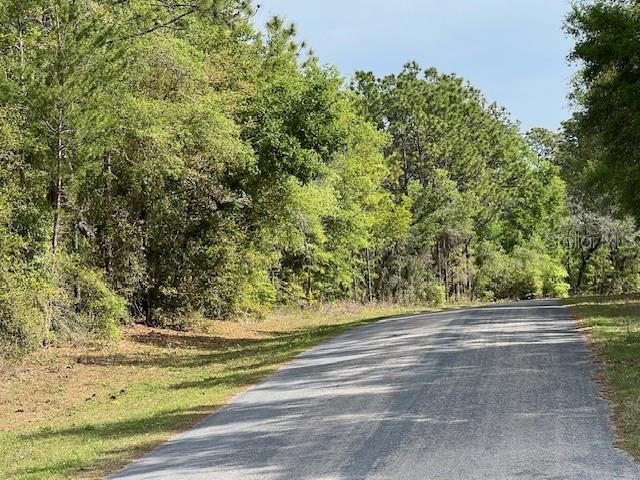 9169 N DELTONA BLVD, CITRUS SPRINGS, FL, 34434