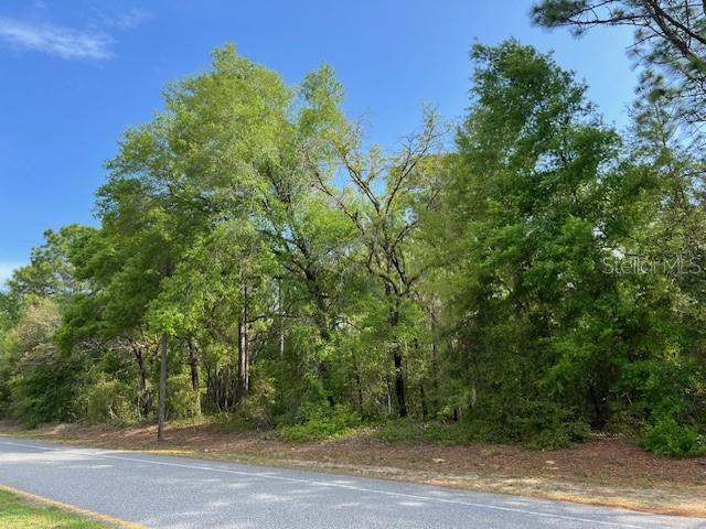 9169 N DELTONA BLVD, CITRUS SPRINGS, FL, 34434