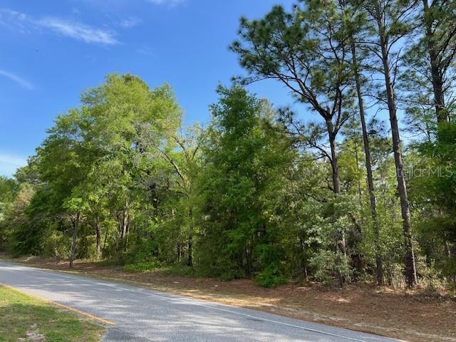 9169 N DELTONA BLVD, CITRUS SPRINGS, FL, 34434