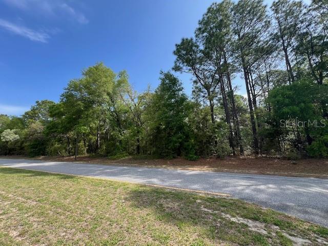 9169 N DELTONA BLVD, CITRUS SPRINGS, FL, 34434