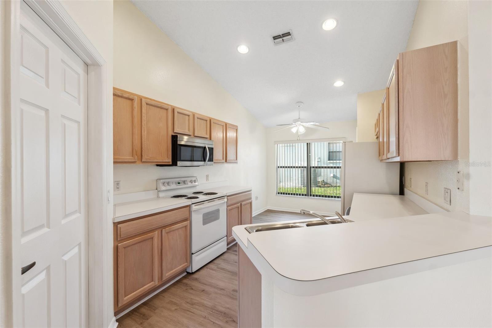1005 INDIGO RUN CT, SPRING HILL, FL, 34609