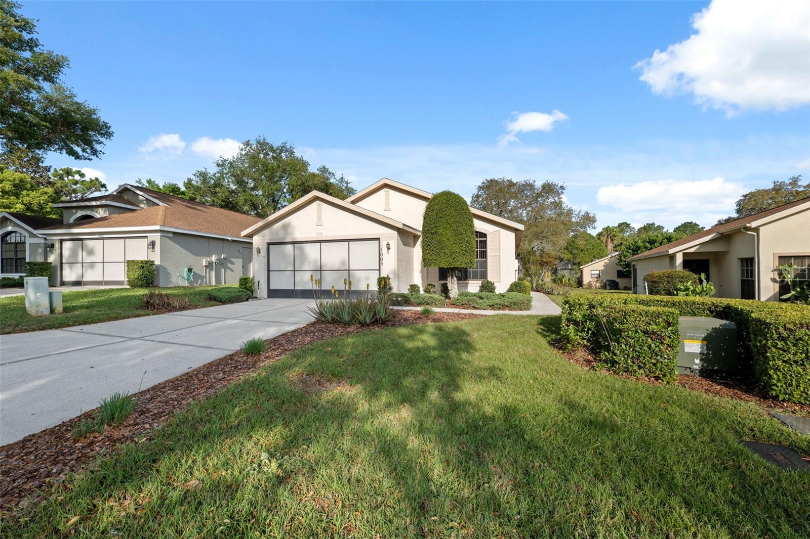 1005 INDIGO RUN CT, SPRING HILL, FL, 34609