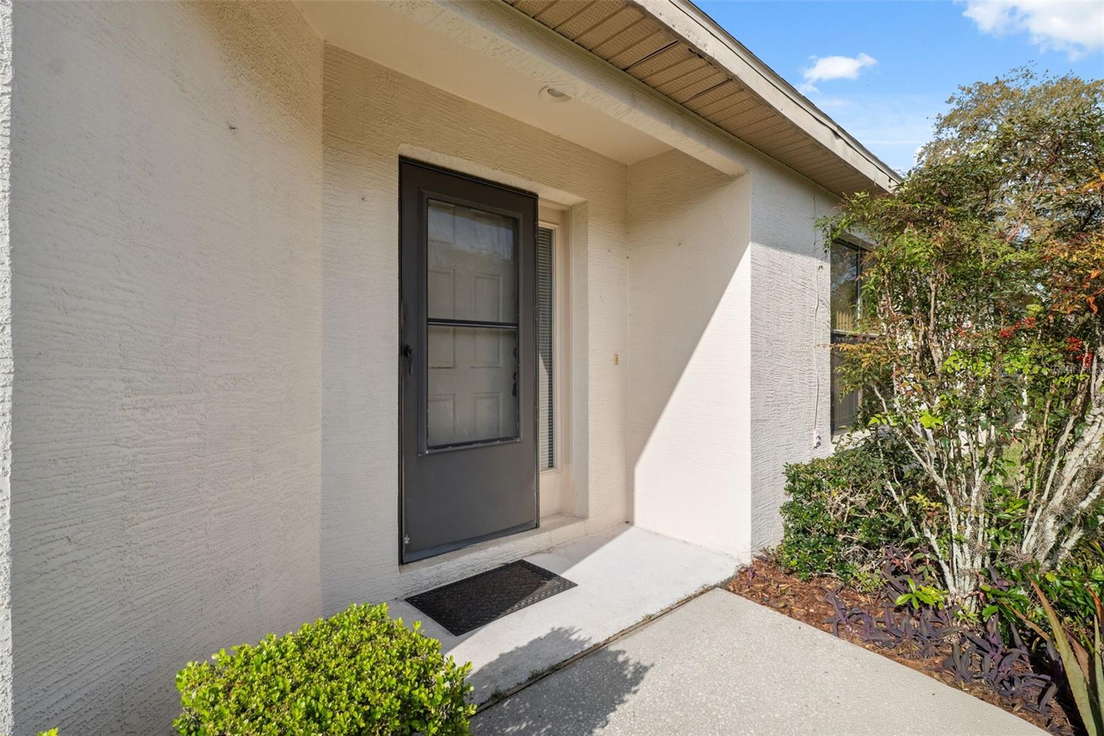 1005 INDIGO RUN CT, SPRING HILL, FL, 34609