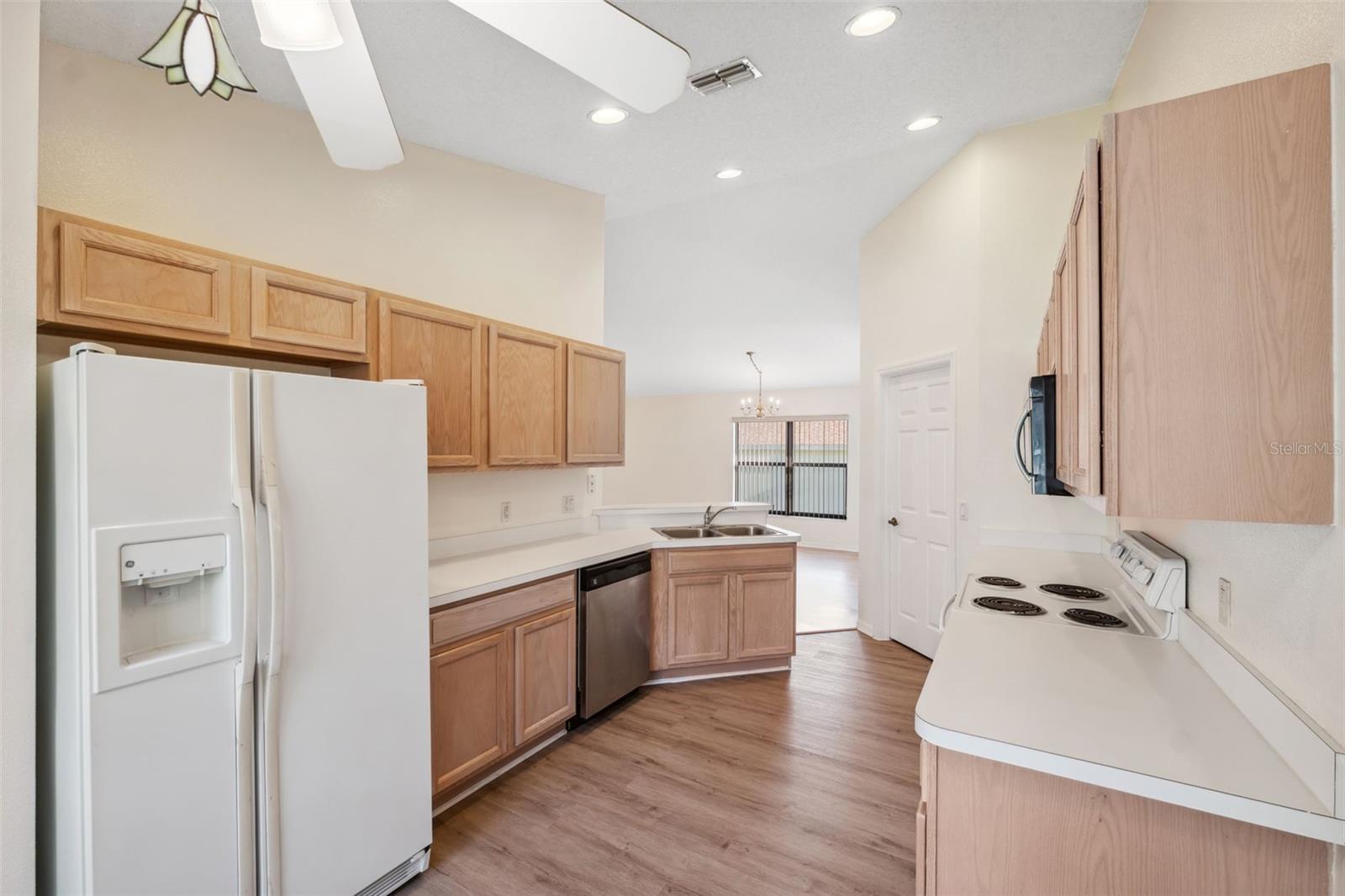 1005 INDIGO RUN CT, SPRING HILL, FL, 34609