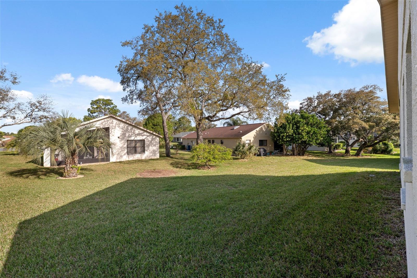 1005 INDIGO RUN CT, SPRING HILL, FL, 34609