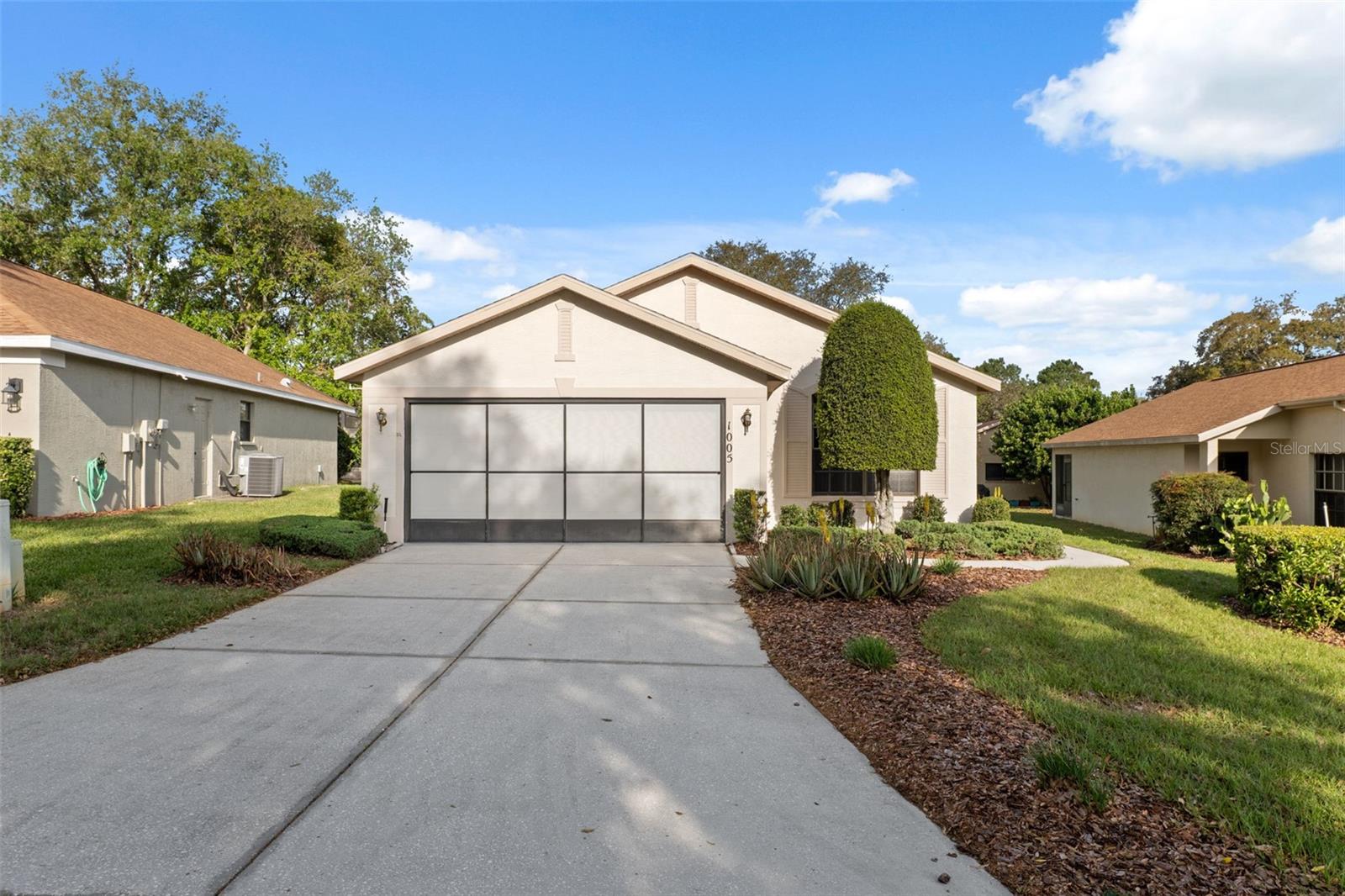 1005 INDIGO RUN CT, SPRING HILL, FL, 34609