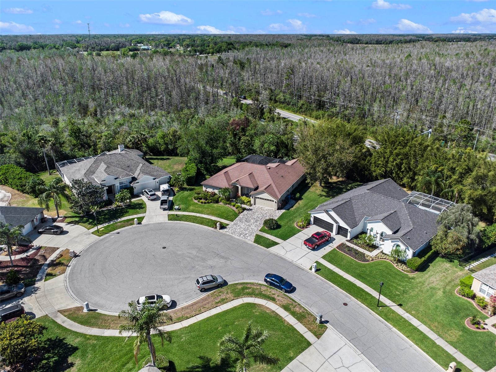 6211 NIMES CT, LUTZ, FL, 33558