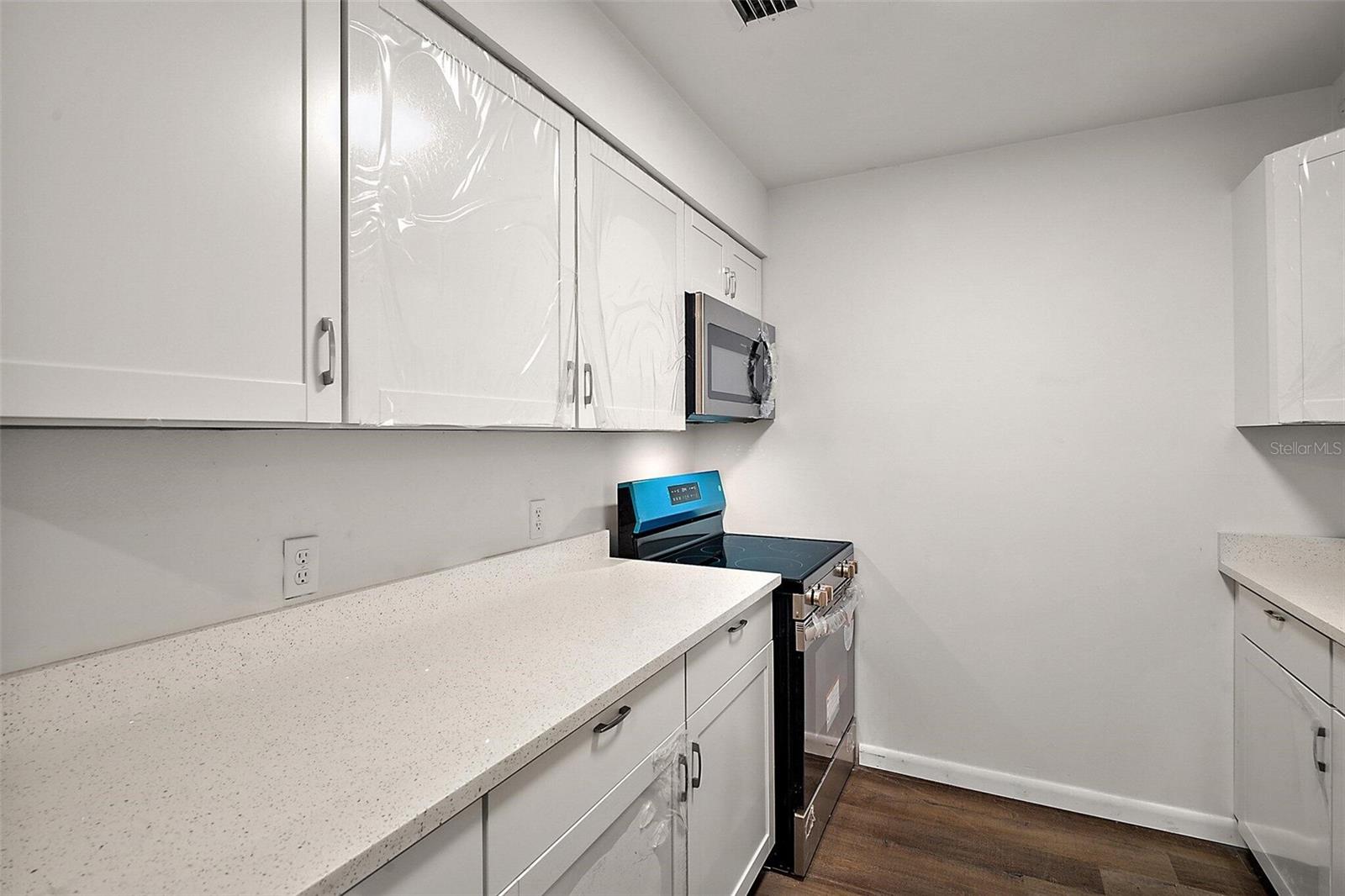 33830 S HAINES CREEK RD, LEESBURG, FL, 34788