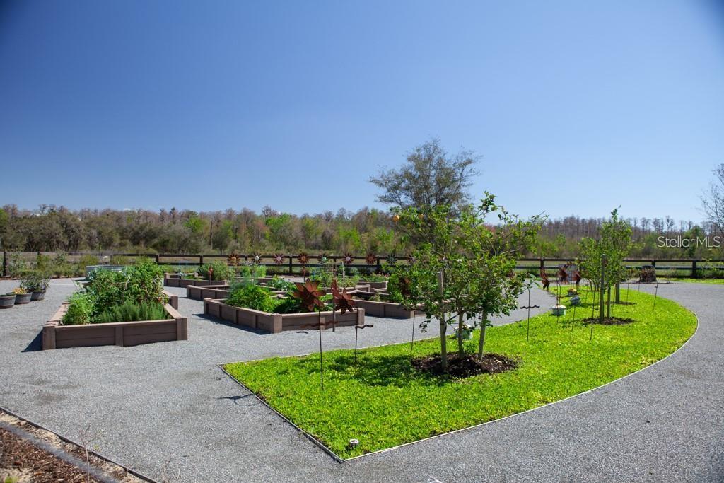 8156 ELION ST, ORLANDO, FL, 32827