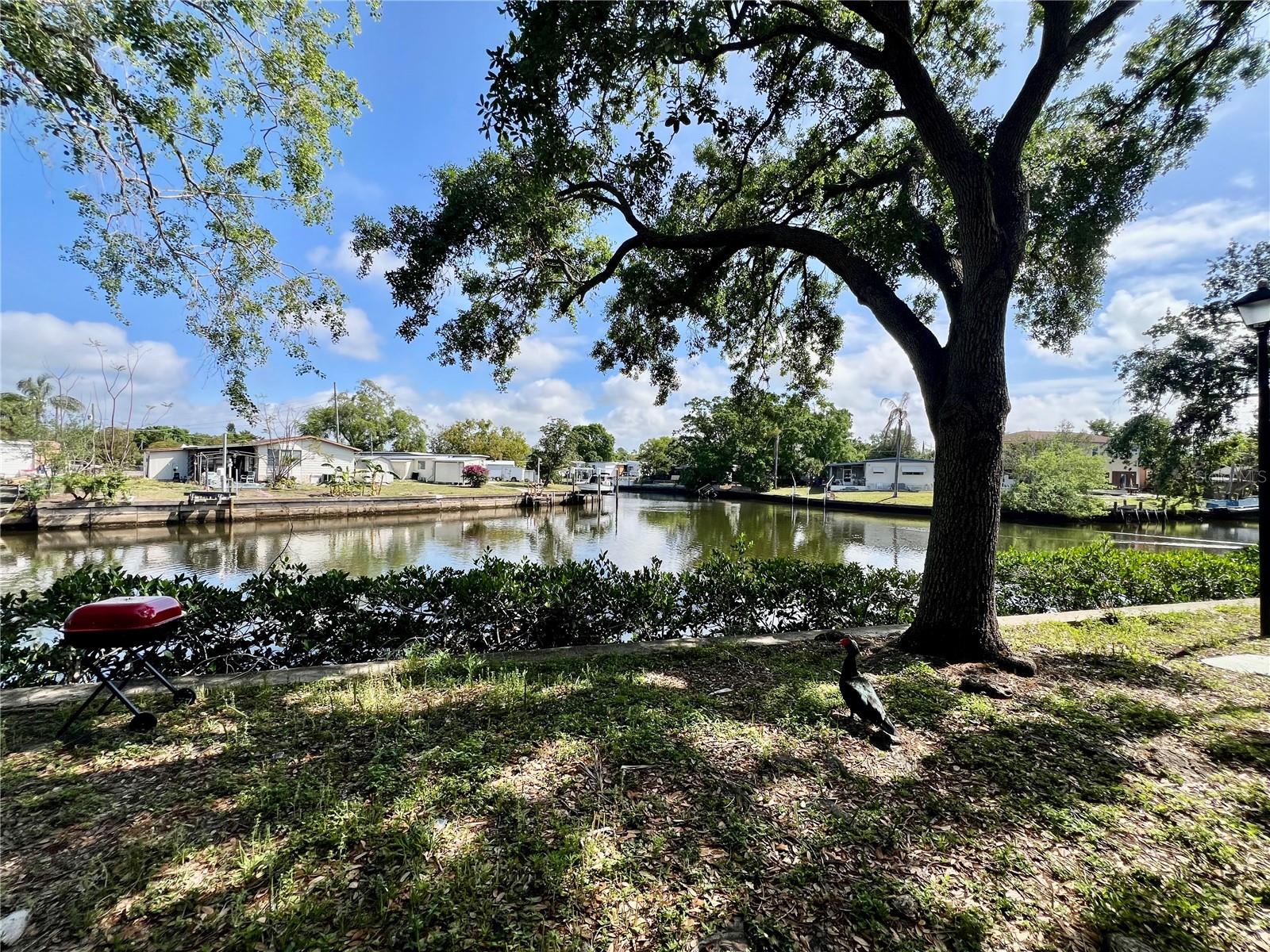 9221 TUDOR DR #A104, TAMPA, FL, 33615