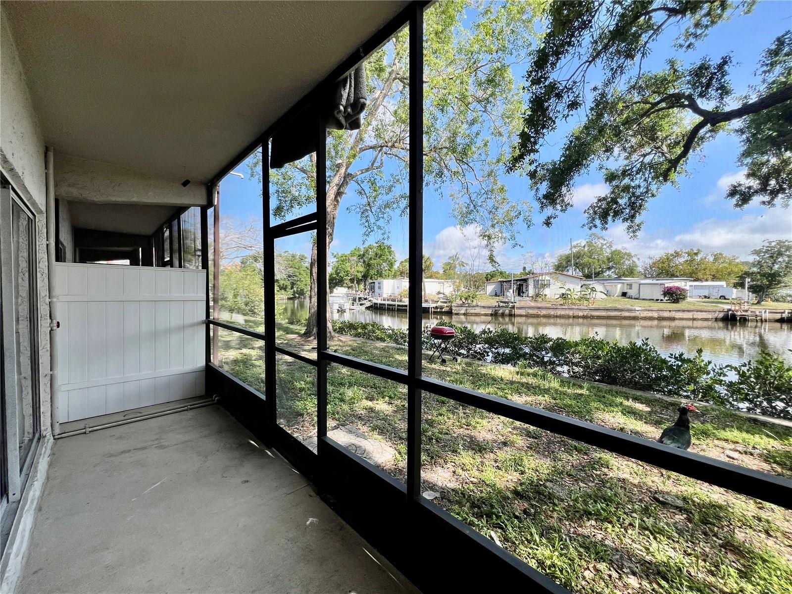 9221 TUDOR DR #A104, TAMPA, FL, 33615