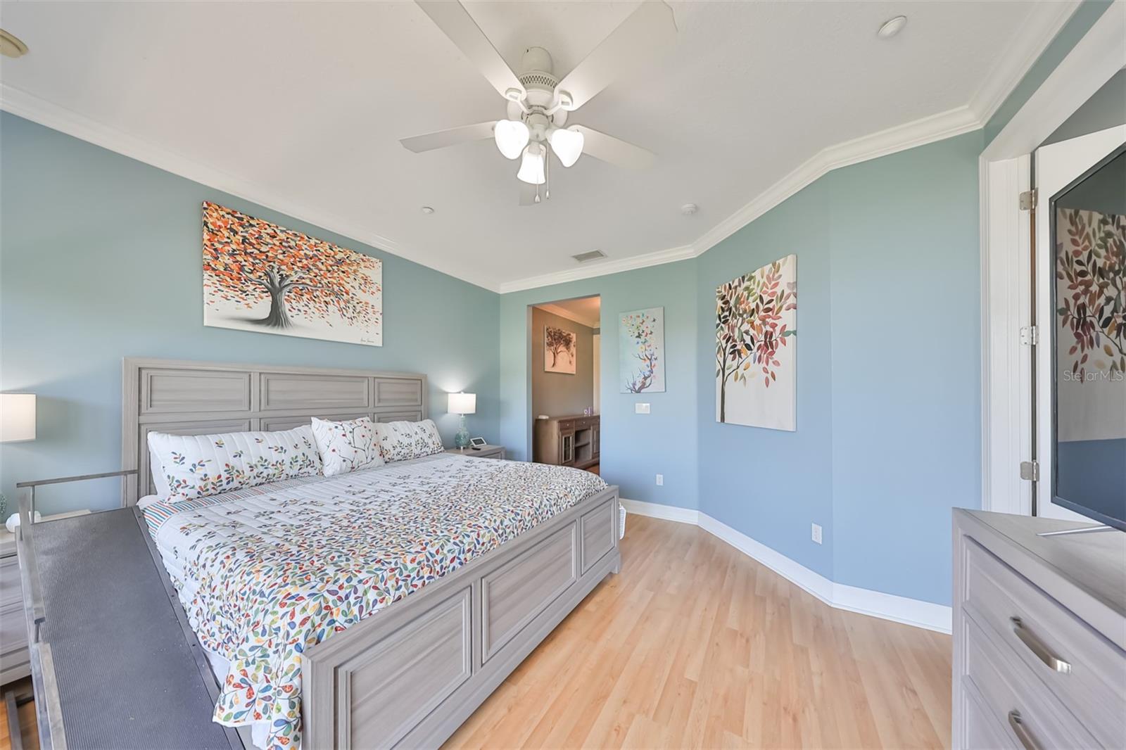 6407 MAYRA SHORES LN, APOLLO BEACH, FL, 33572