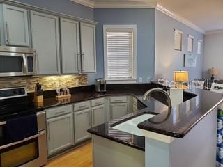 6407 MAYRA SHORES LN, APOLLO BEACH, FL, 33572