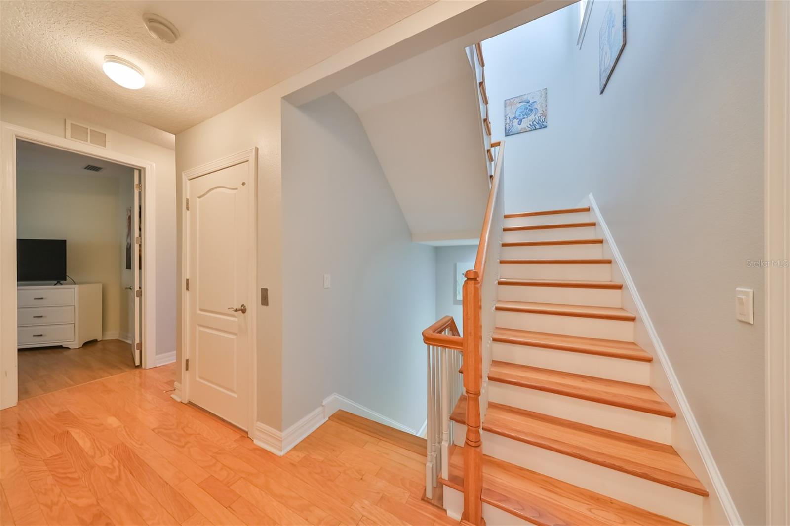 6407 MAYRA SHORES LN, APOLLO BEACH, FL, 33572