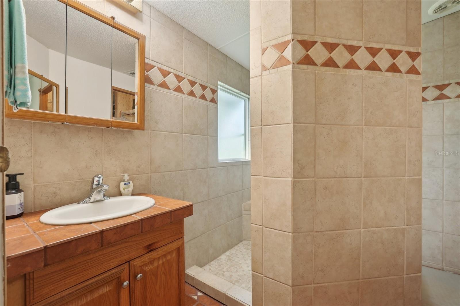 1901 BROOKSIDE DR, MOUNT DORA, FL, 32757