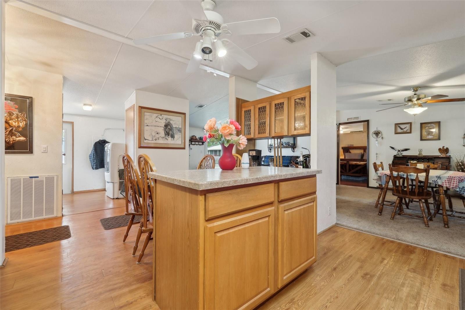 1901 BROOKSIDE DR, MOUNT DORA, FL, 32757