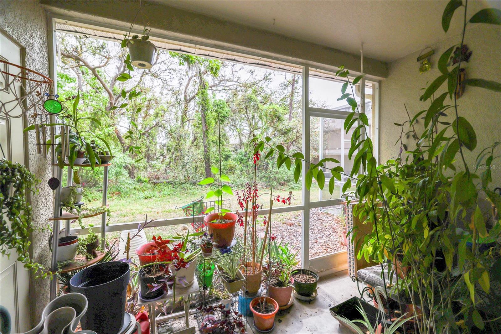 15733 FISHHAWK FALLS DR, LITHIA, FL, 33547