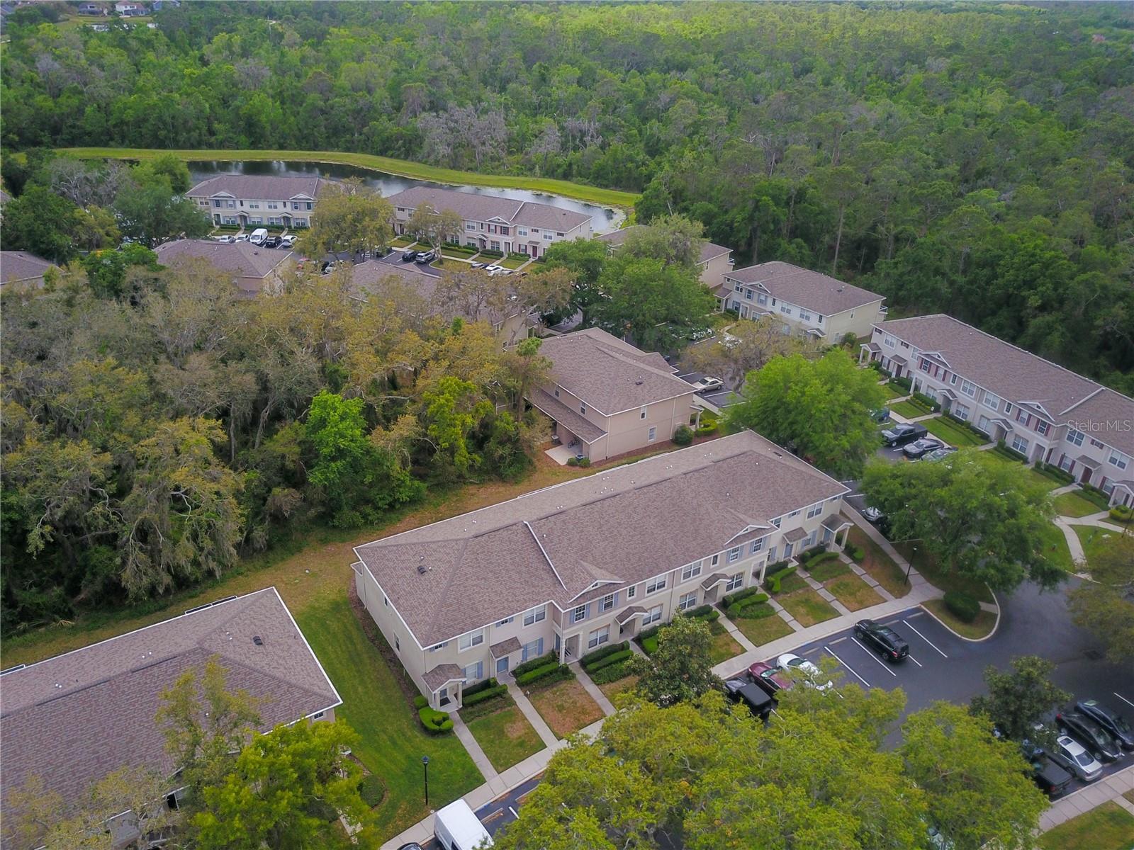 15733 FISHHAWK FALLS DR, LITHIA, FL, 33547