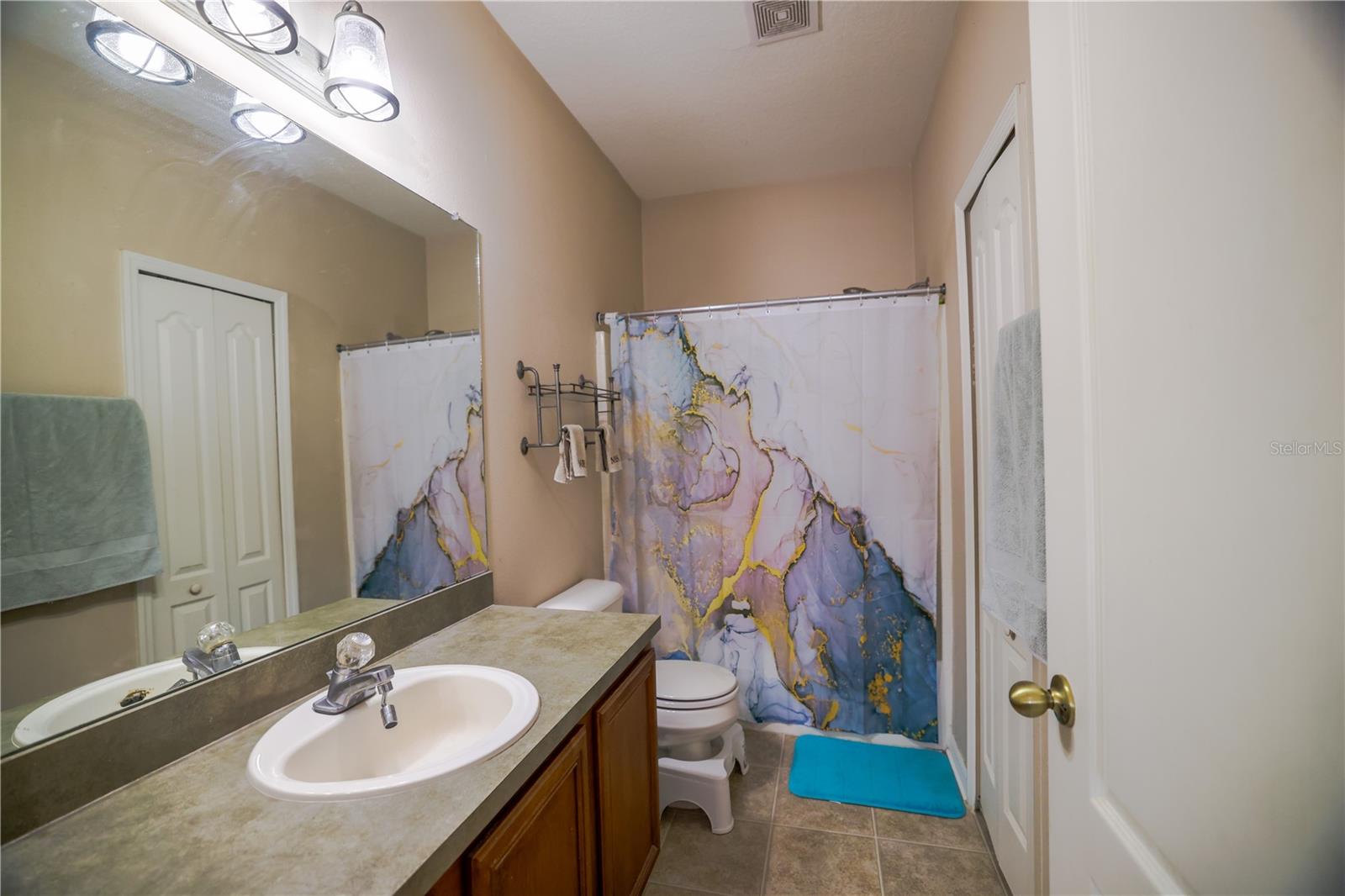 15733 FISHHAWK FALLS DR, LITHIA, FL, 33547