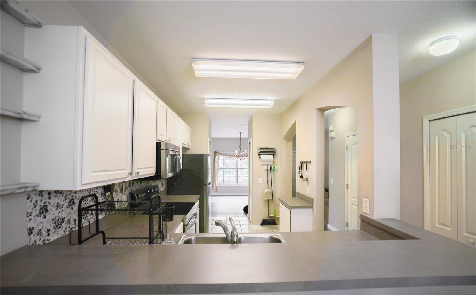 15733 FISHHAWK FALLS DR, LITHIA, FL, 33547