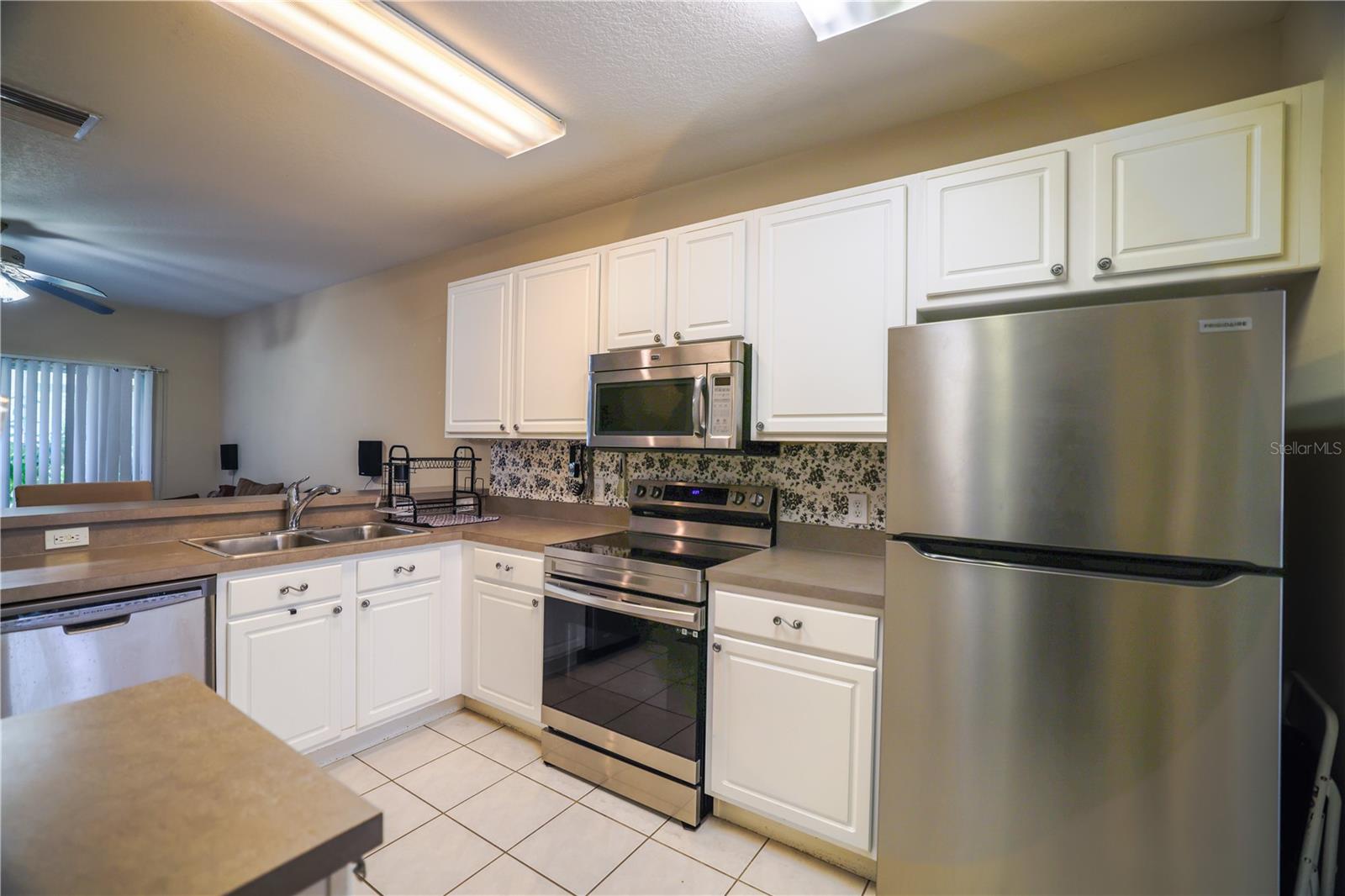 15733 FISHHAWK FALLS DR, LITHIA, FL, 33547