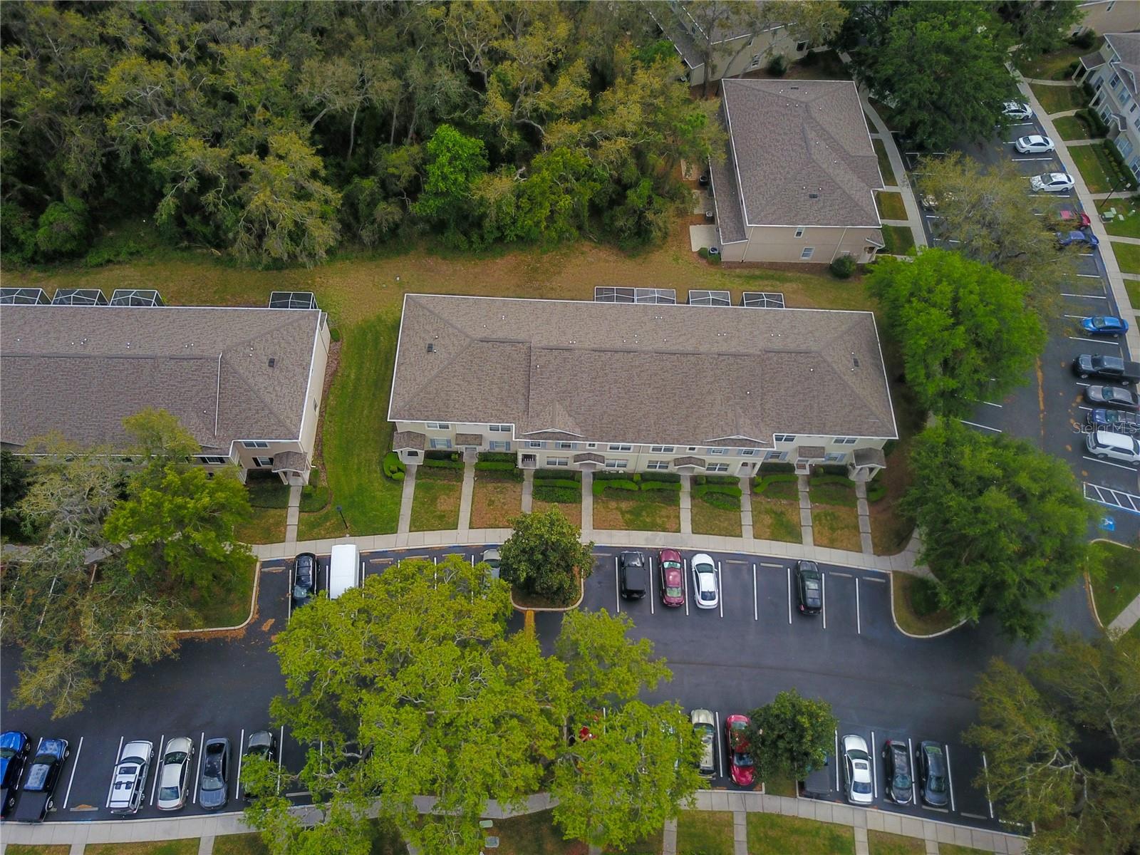 15733 FISHHAWK FALLS DR, LITHIA, FL, 33547