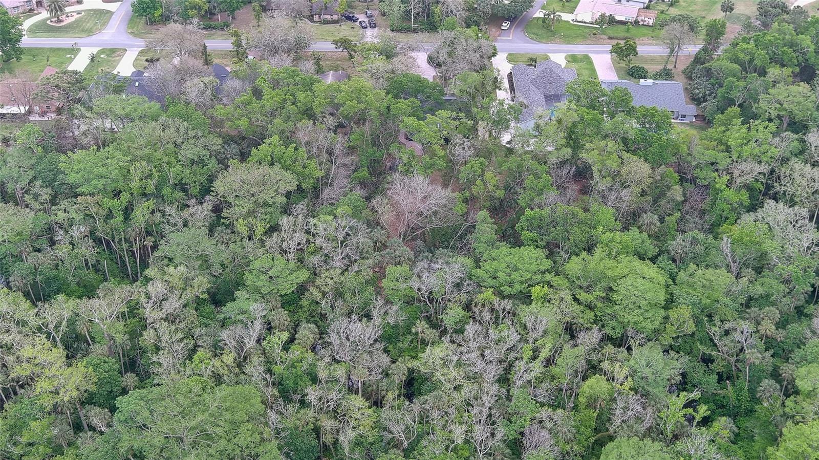 1845 SPRUCE CREEK BLVD, PORT ORANGE, FL, 32128