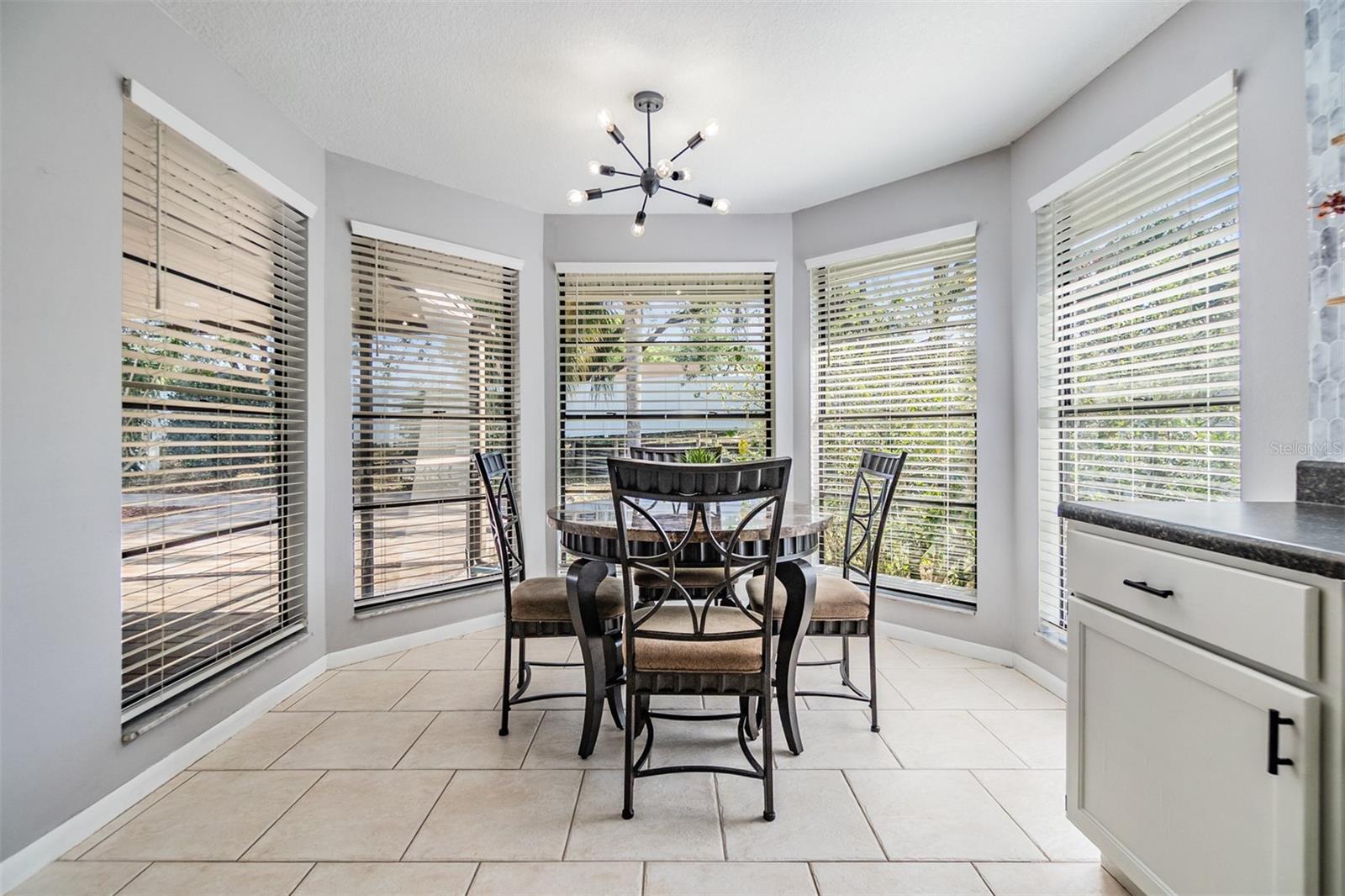 1603 DAWNRIDGE CT, BRANDON, FL, 33510