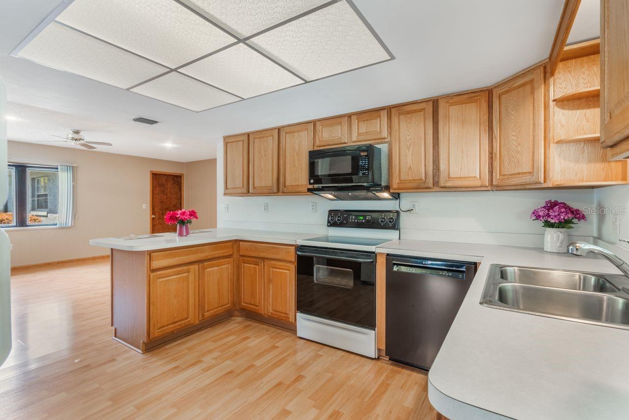 610 PALOMAS AVE, OCOEE, FL, 34761