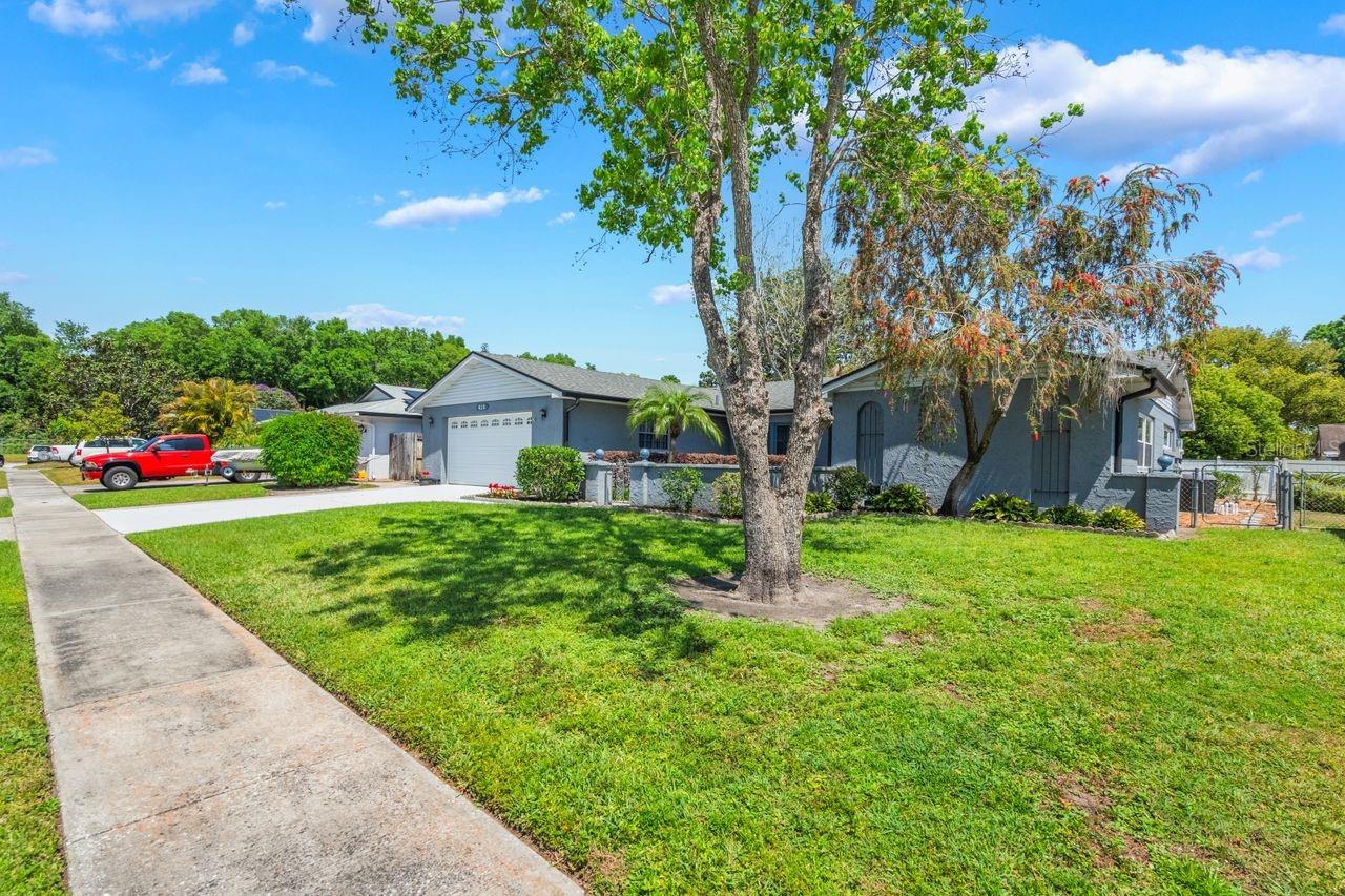 610 PALOMAS AVE, OCOEE, FL, 34761