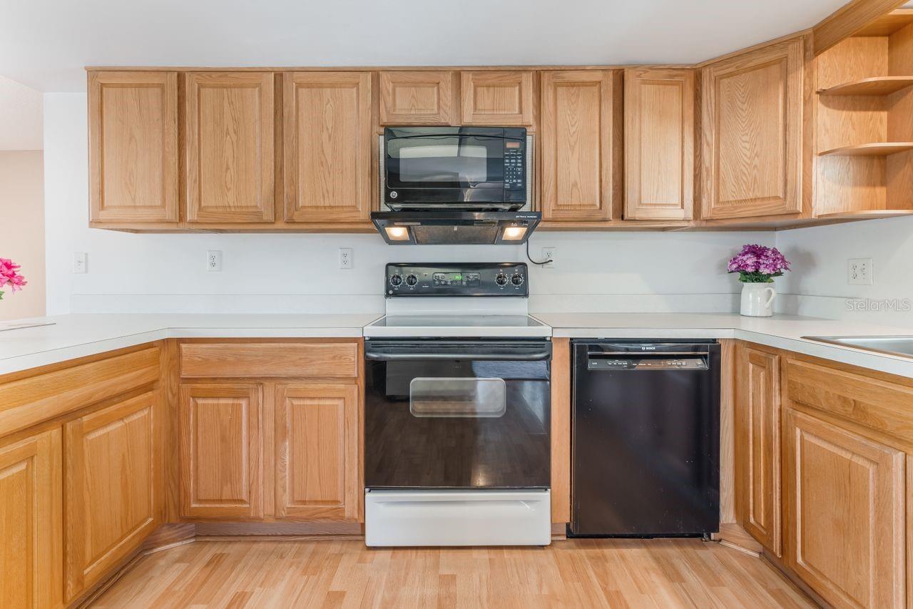 610 PALOMAS AVE, OCOEE, FL, 34761