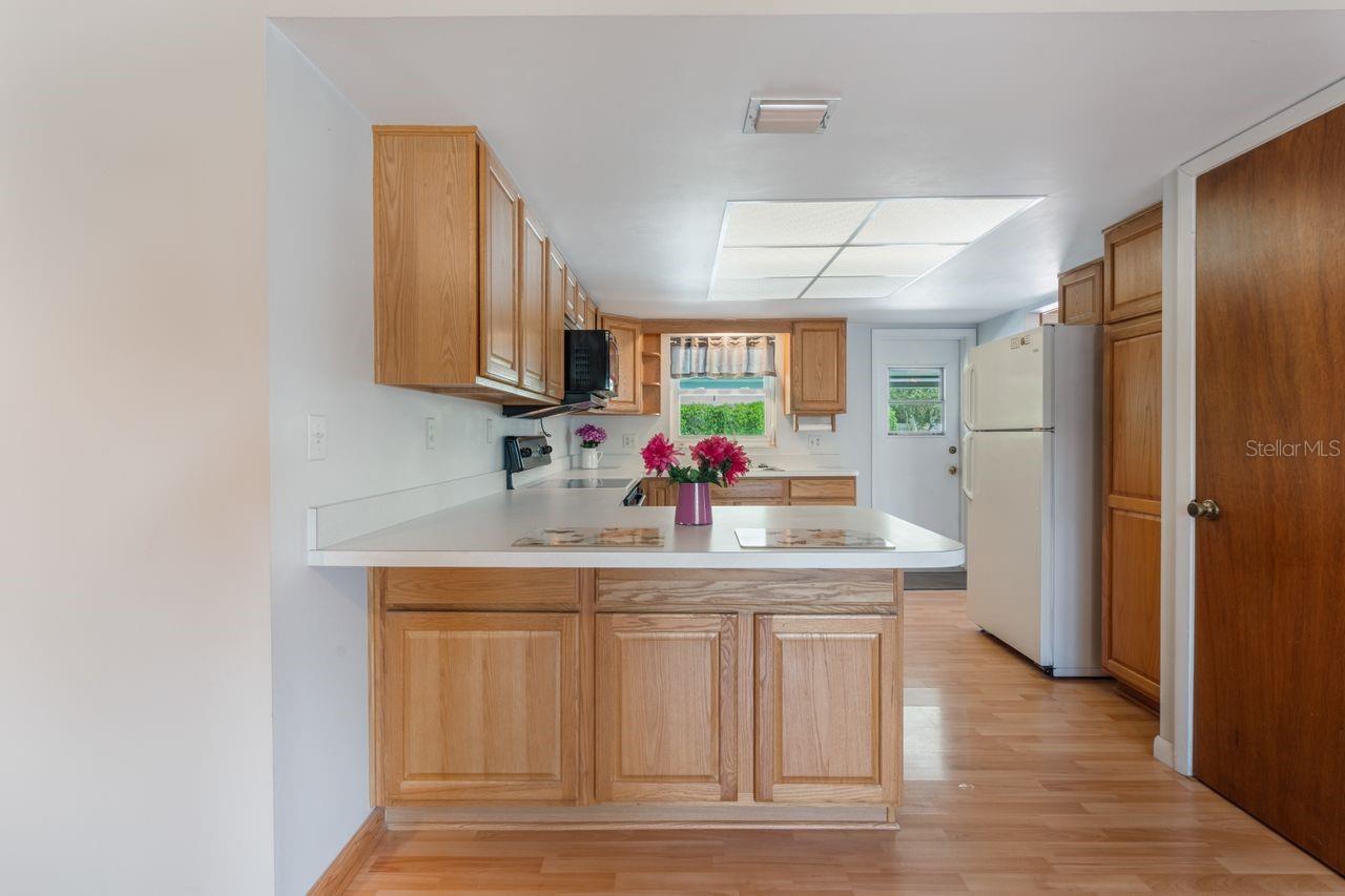 610 PALOMAS AVE, OCOEE, FL, 34761