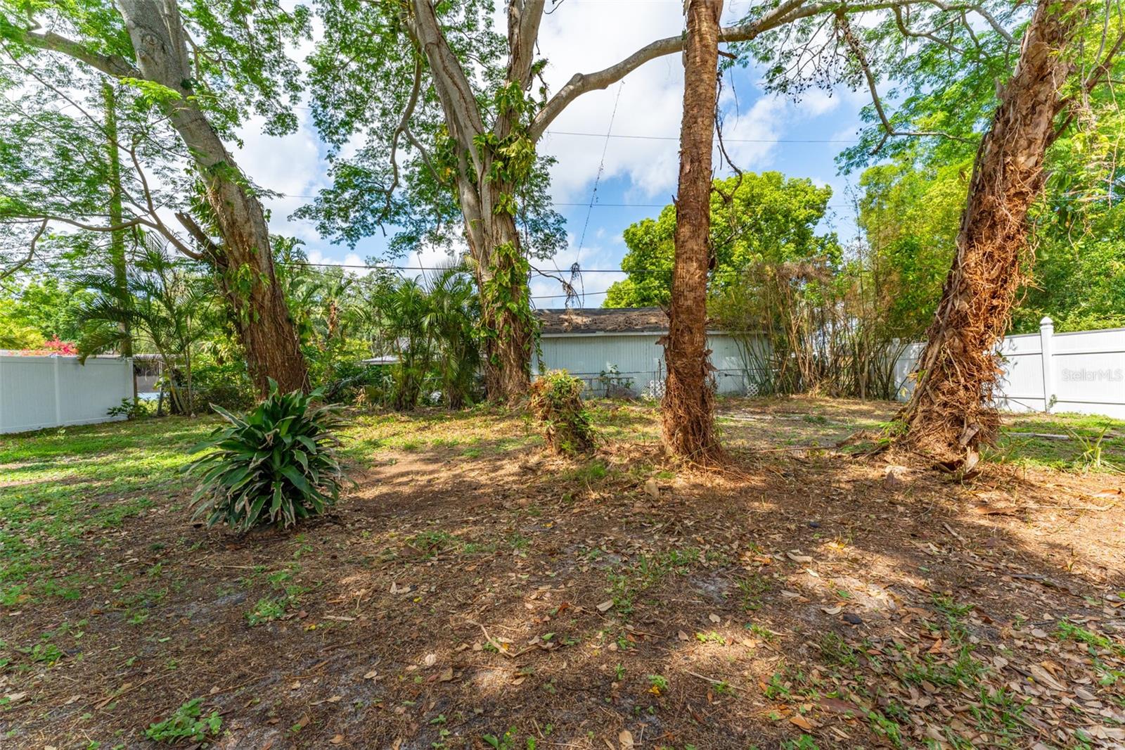 11114 N 20TH ST, TAMPA, FL, 33612