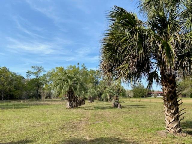 23206 NW 102 ND AVE, ALACHUA, FL, 32615