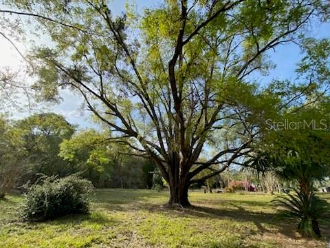 23206 NW 102 ND AVE, ALACHUA, FL, 32615