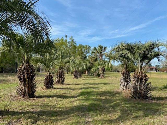 23206 NW 102 ND AVE, ALACHUA, FL, 32615