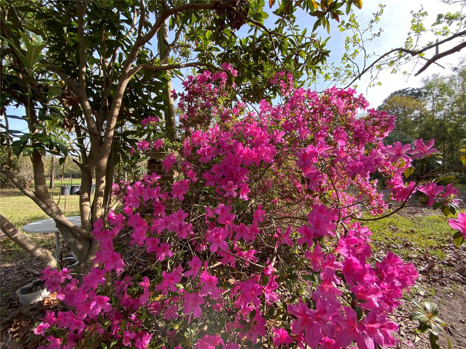 23206 NW 102 ND AVE, ALACHUA, FL, 32615