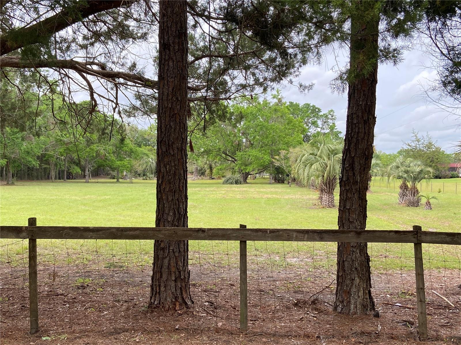 23206 NW 102 ND AVE, ALACHUA, FL, 32615