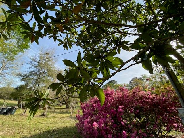 23206 NW 102 ND AVE, ALACHUA, FL, 32615