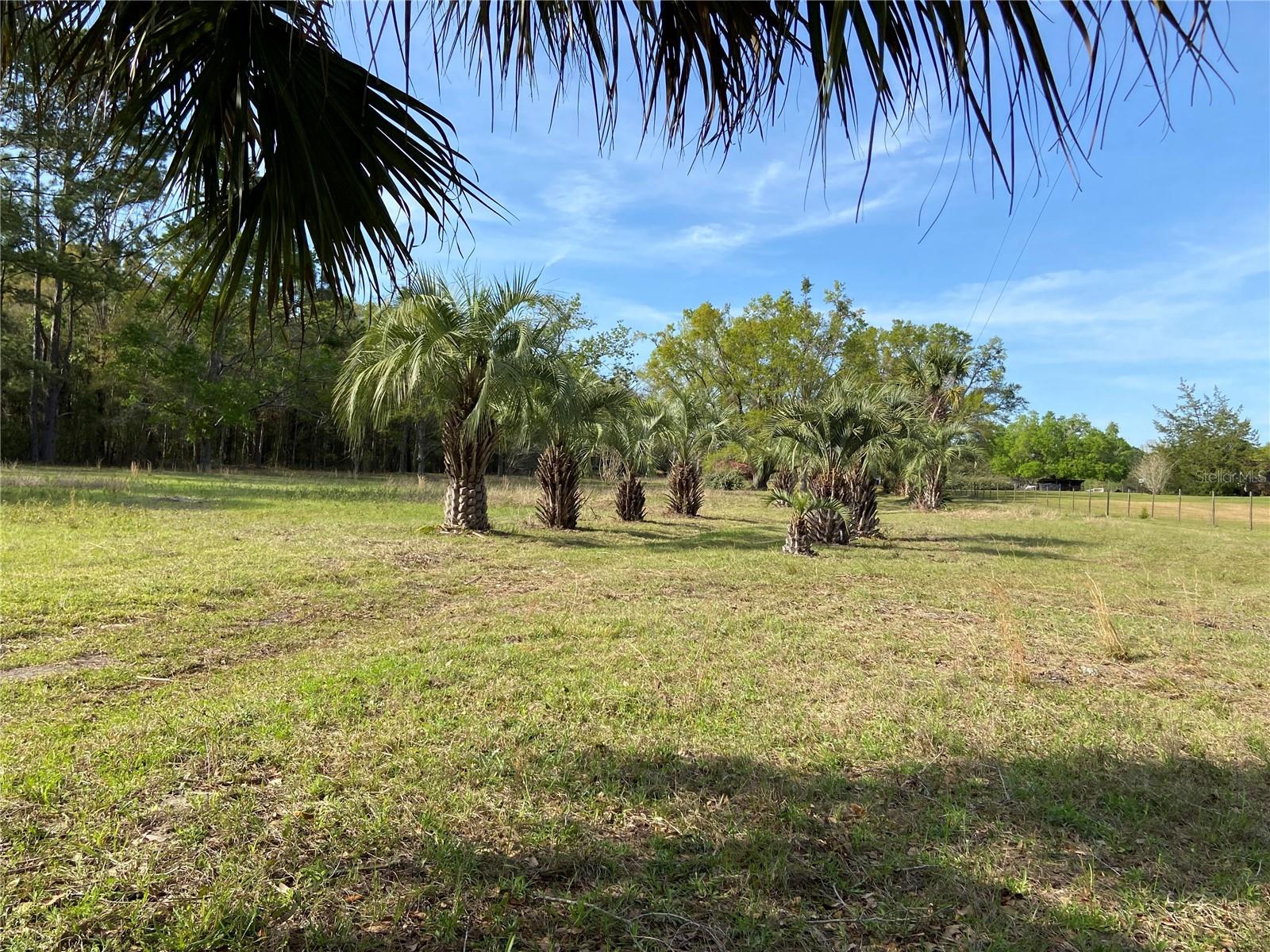 23206 NW 102 ND AVE, ALACHUA, FL, 32615