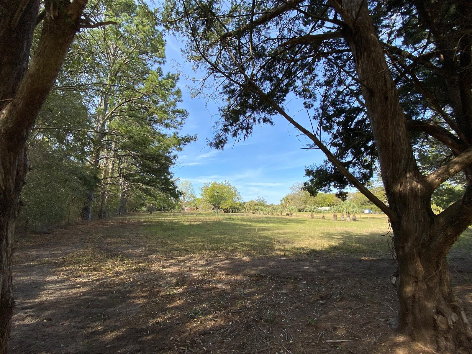 23206 NW 102 ND AVE, ALACHUA, FL, 32615