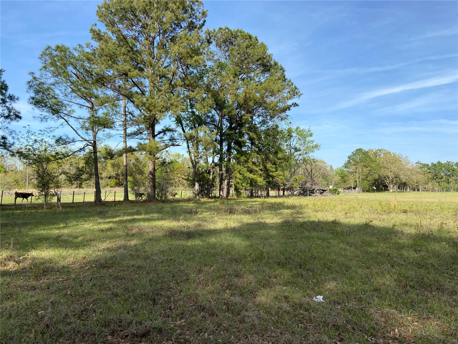 23206 NW 102 ND AVE, ALACHUA, FL, 32615