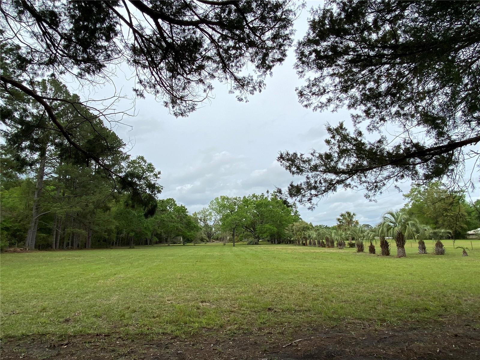 23206 NW 102 ND AVE, ALACHUA, FL, 32615